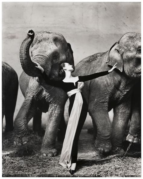 richard avedon dovima images.